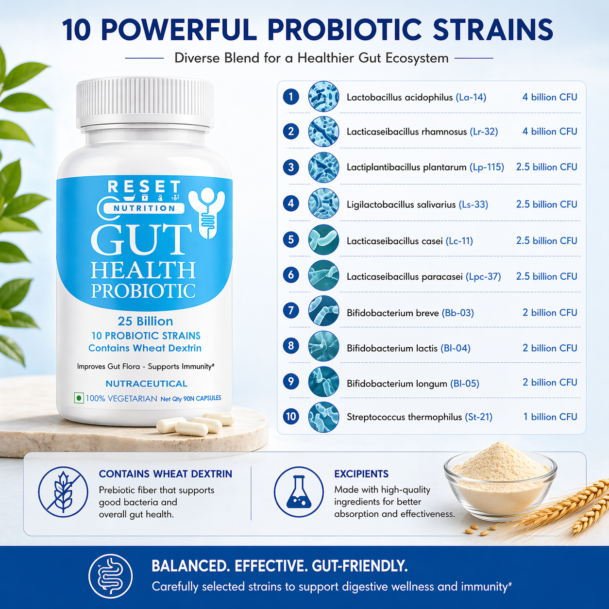 Gut Health Probiotic Capsules